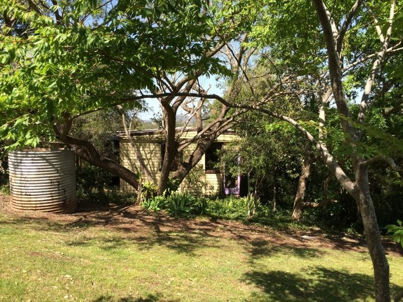 1270 Collins Creek Road, Kyogle NSW 2474