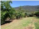 1270 Collins Creek Road, Kyogle NSW 2474
