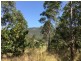 1270 Collins Creek Road, Kyogle NSW 2474