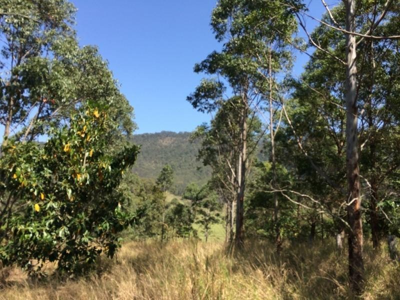 1270 Collins Creek Road, Kyogle NSW 2474
