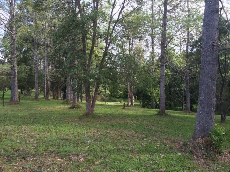 11a Alternative Way, Nimbin NSW 2480