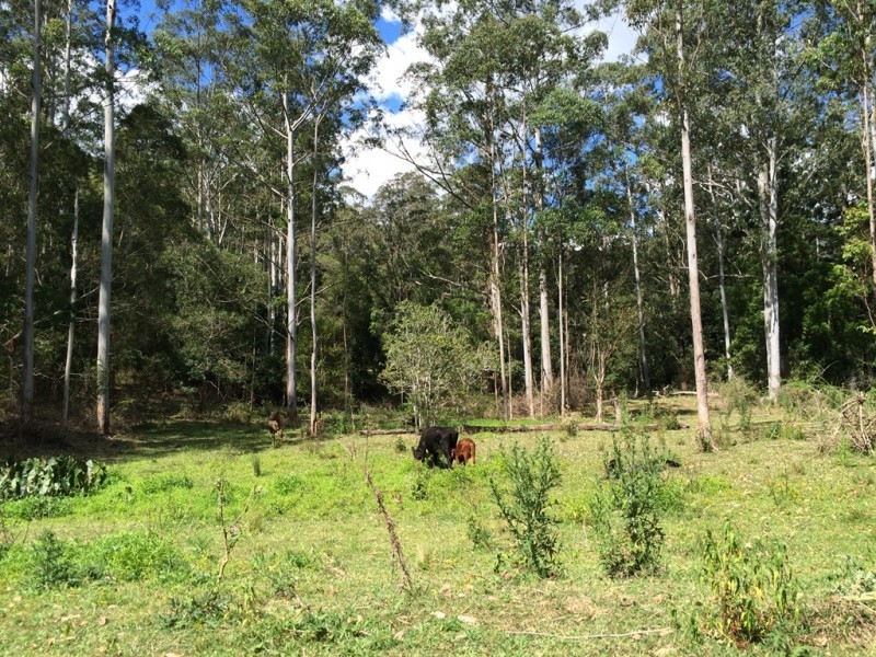 Lot 2, 252 Atkin Road, Larnook NSW 2480