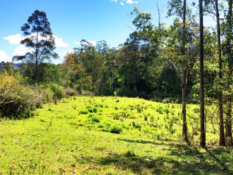 Lot 2, 252 Atkin Road, Larnook NSW 2480