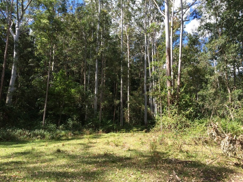 Lot 2, 252 Atkin Road, Larnook NSW 2480