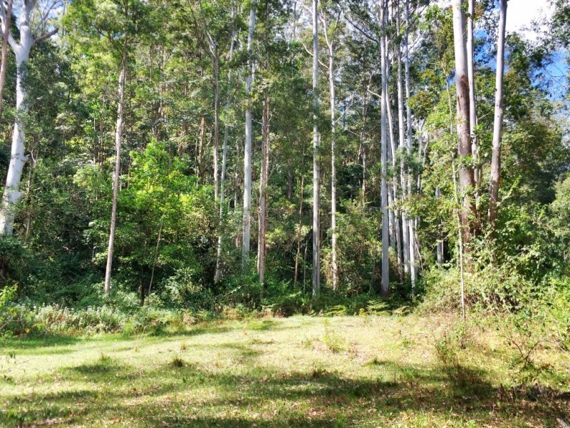 Lot 2, 252 Atkin Road, Larnook NSW 2480