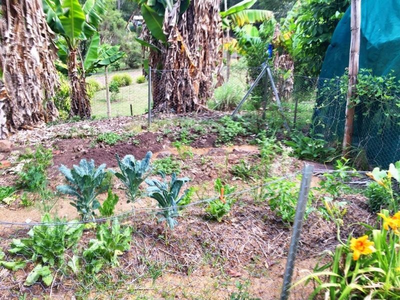 Lot 72, 265 Martin Road, Larnook NSW 2480