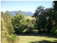 186 Gungas Road, Nimbin NSW 2480