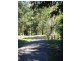 186 Gungas Road, Nimbin NSW 2480