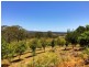 657 Old Dyraaba Road, Woodview NSW 2470