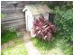 9 Little Dawson Street, Lismore NSW 2480