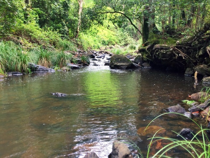 508 Gungas Road (Portion 32), Nimbin NSW 2480
