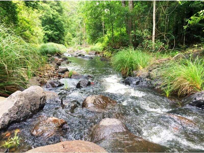 508 Gungas Road (Portion 32), Nimbin NSW 2480
