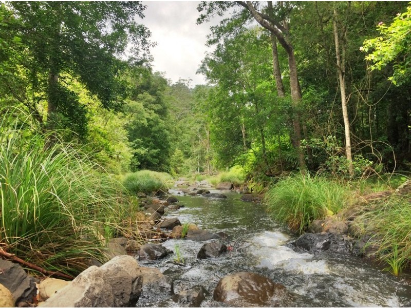 508 Gungas Road (Portion 32), Nimbin NSW 2480