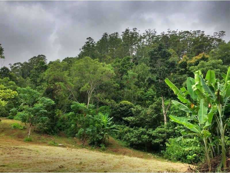 508 Gungas Road (Portion 32), Nimbin NSW 2480