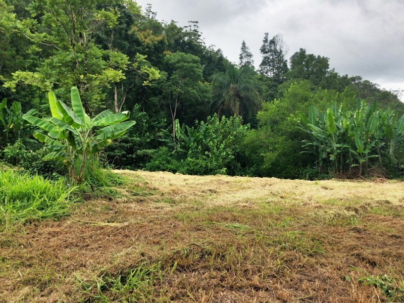 508 Gungas Road (Portion 32), Nimbin NSW 2480