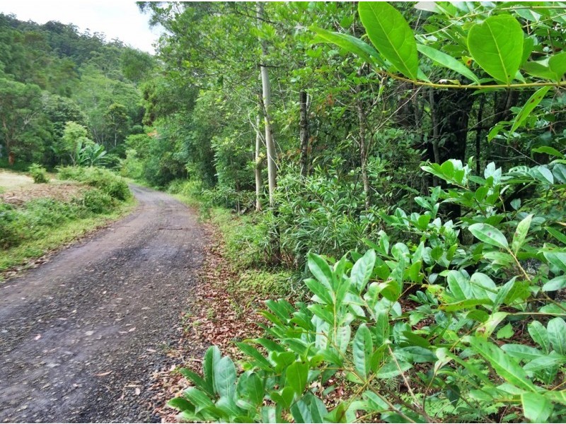 508 Gungas Road (Portion 32), Nimbin NSW 2480