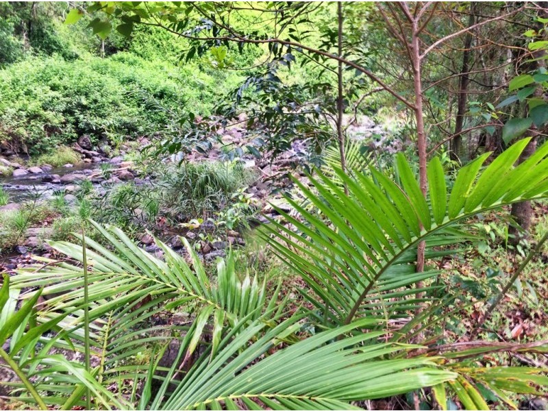 508 Gungas Road (Portion 32), Nimbin NSW 2480