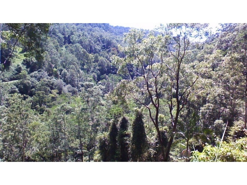 508 Gungas Road (Portion 32), Nimbin NSW 2480