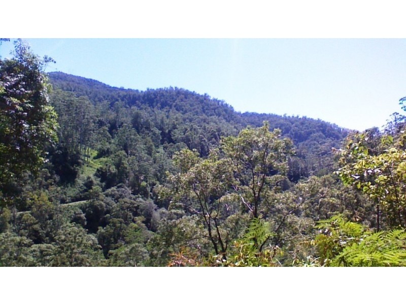 508 Gungas Road (Portion 32), Nimbin NSW 2480