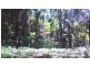 508 Gungas Road (Portion 32), Nimbin NSW 2480