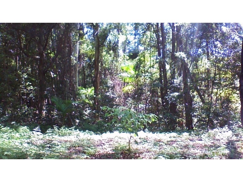 508 Gungas Road (Portion 32), Nimbin NSW 2480