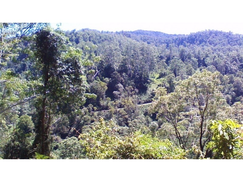 508 Gungas Road (Portion 32), Nimbin NSW 2480