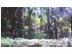 508 Gungas Road (Portion 32), Nimbin NSW 2480