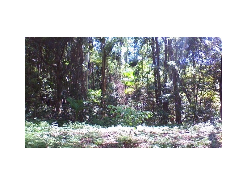508 Gungas Road (Portion 32), Nimbin NSW 2480
