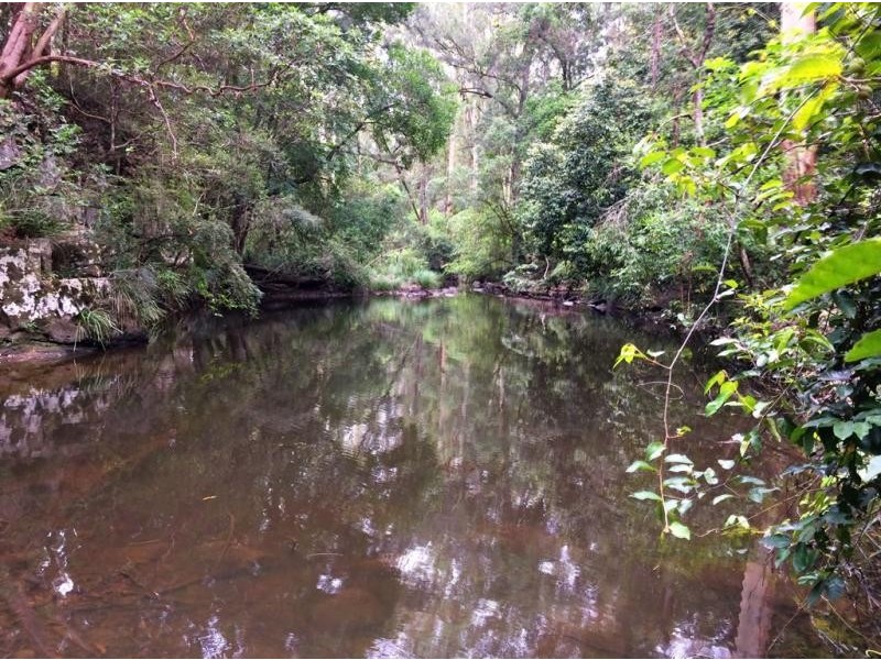 1157 Stony Chute Road (Share 21 Avalon), Nimbin NSW 2480