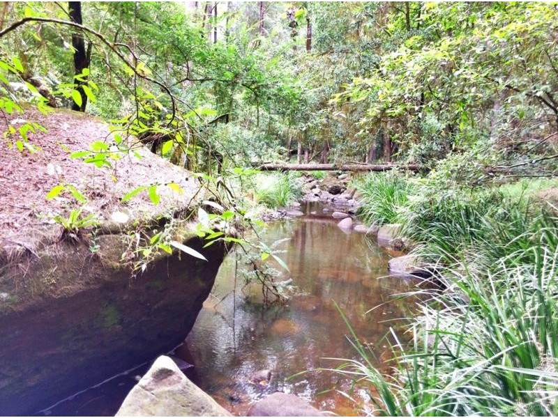 1157 Stony Chute Road (Share 21 Avalon), Nimbin NSW 2480