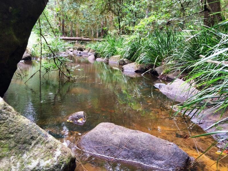 1157 Stony Chute Road (Share 21 Avalon), Nimbin NSW 2480