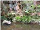 1157 Stony Chute Road (Share 21 Avalon), Nimbin NSW 2480