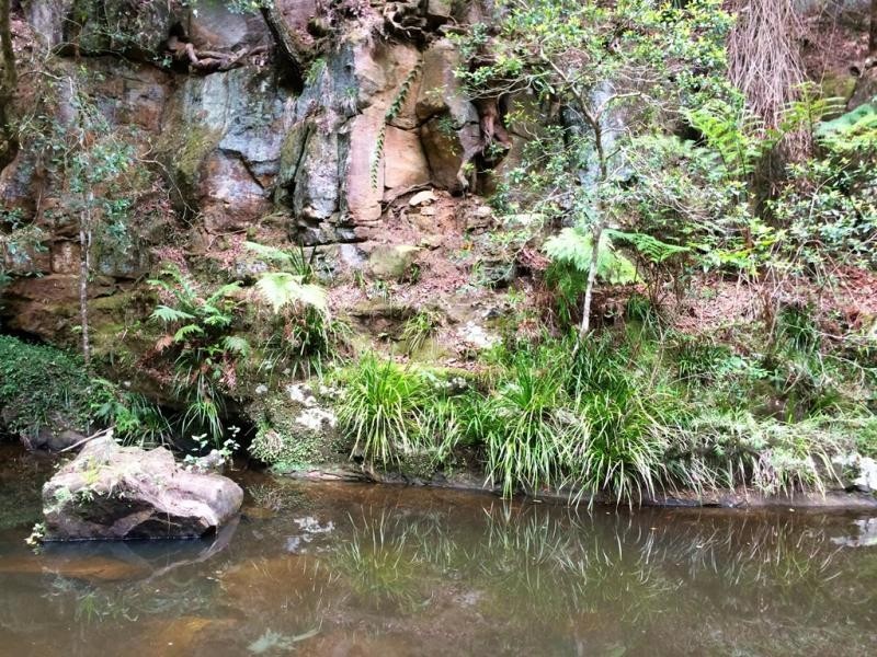 1157 Stony Chute Road (Share 21 Avalon), Nimbin NSW 2480