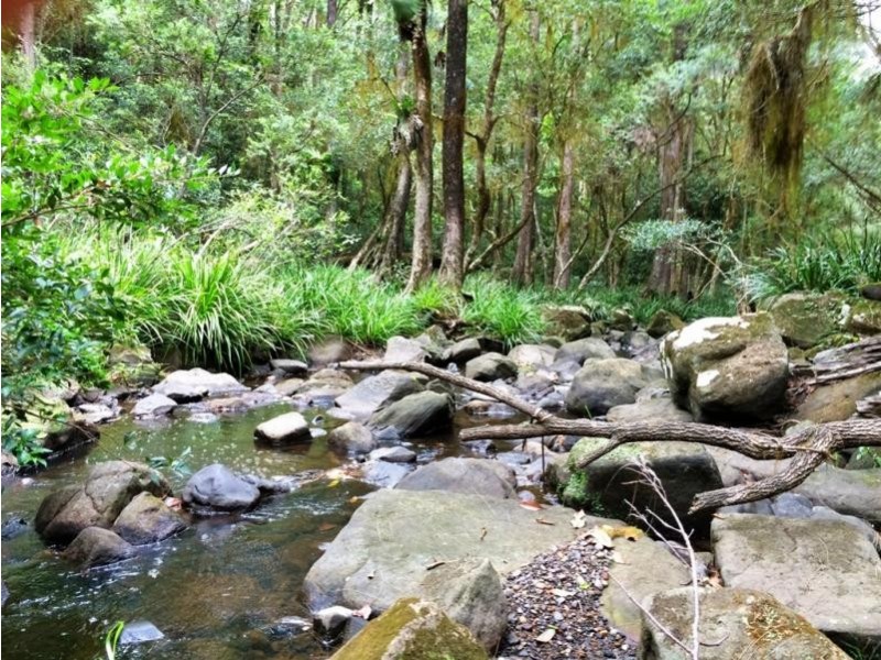 1157 Stony Chute Road (Share 21 Avalon), Nimbin NSW 2480