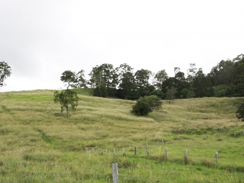 126 Quilty Road, Rock Valley NSW 2480