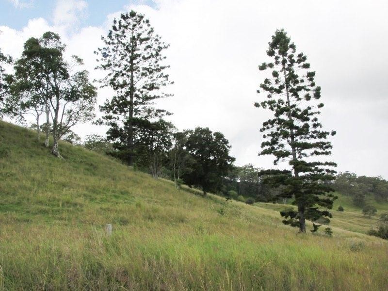 126 Quilty Road, Rock Valley NSW 2480