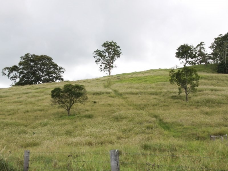 126 Quilty Road, Rock Valley NSW 2480