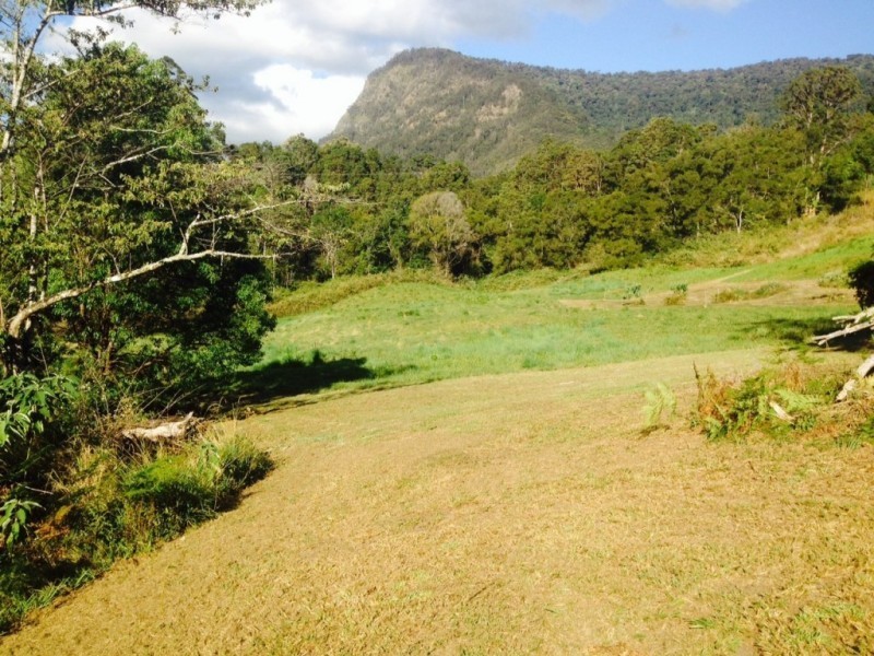 Lot 7, 929 Blue Knob Road, Blue Knob NSW 2480