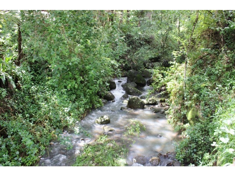 Lot 7, 929 Blue Knob Road, Blue Knob NSW 2480