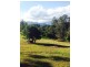 Lot 7, 929 Blue Knob Road, Blue Knob NSW 2480