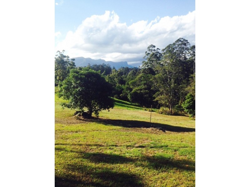 Lot 7, 929 Blue Knob Road, Blue Knob NSW 2480
