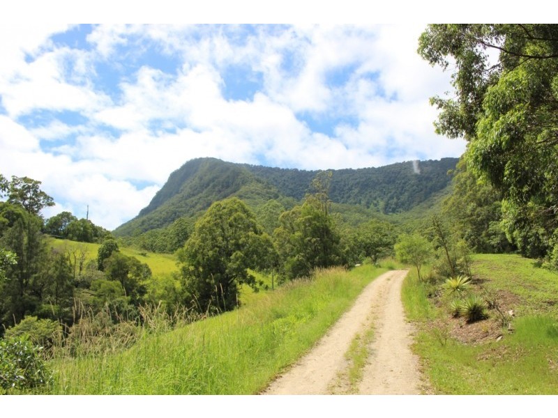 Lot 7, 929 Blue Knob Road, Blue Knob NSW 2480