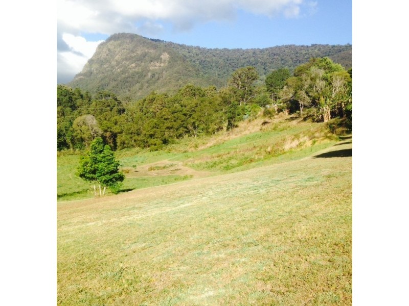 Lot 7, 929 Blue Knob Road, Blue Knob NSW 2480