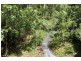 Lot 7, 929 Blue Knob Road, Blue Knob NSW 2480