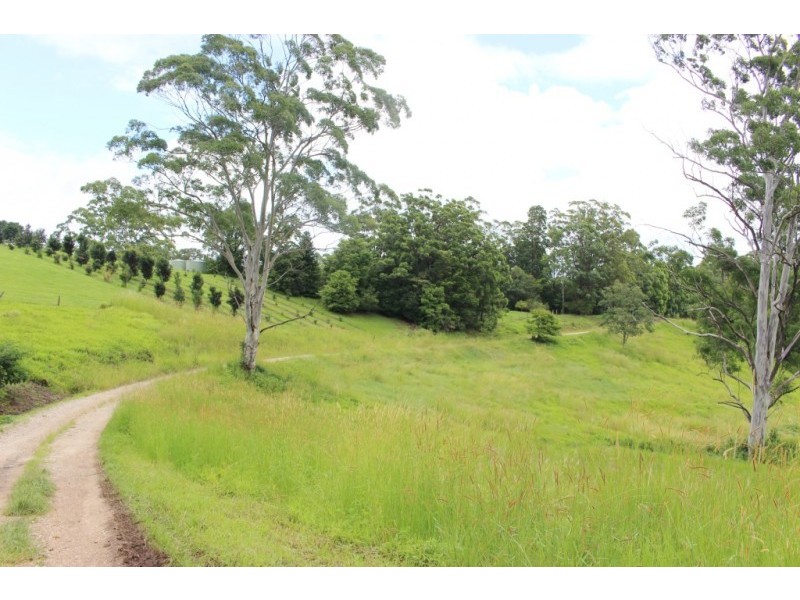 Lot 7, 929 Blue Knob Road, Blue Knob NSW 2480