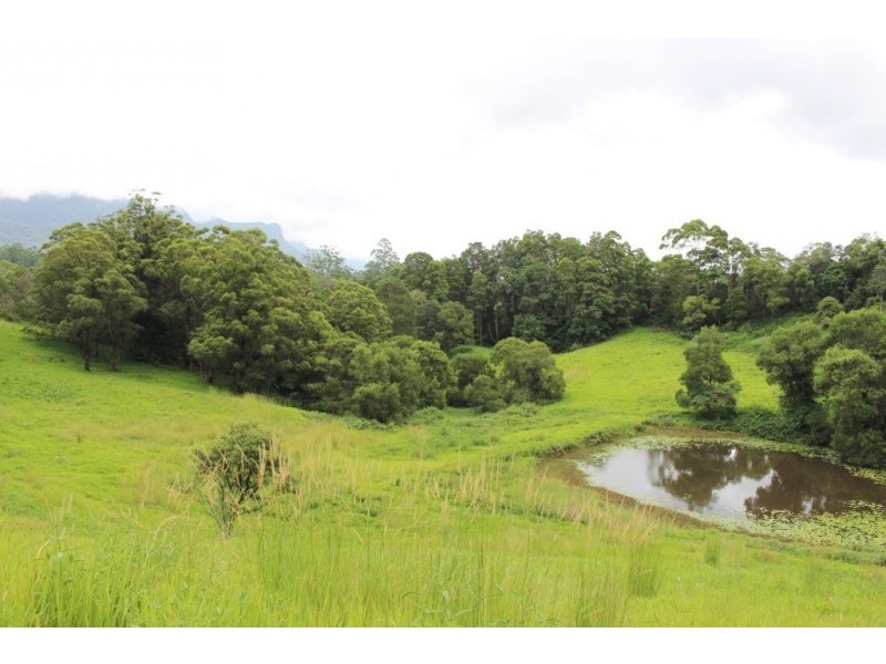 Lot 7, 929 Blue Knob Road, Blue Knob NSW 2480