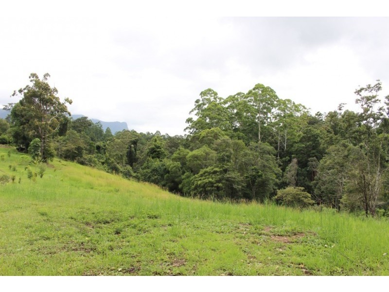Lot 7, 929 Blue Knob Road, Blue Knob NSW 2480