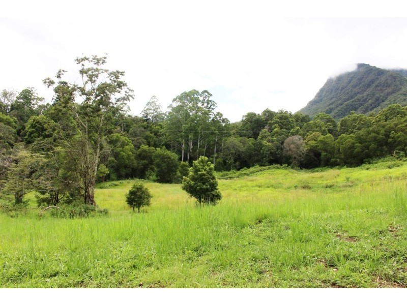 Lot 7, 929 Blue Knob Road, Blue Knob NSW 2480