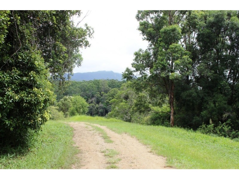 Lot 7, 929 Blue Knob Road, Blue Knob NSW 2480