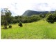 Lot 7, 929 Blue Knob Road, Blue Knob NSW 2480